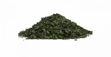 tes de ginseng