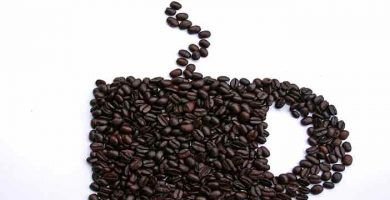 Cafe Ecológico