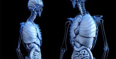 Artículos para el Deporte y Salud