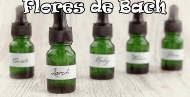 Flor de Bach